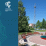 арт-объект «Семья аистов» в парке Белый. - Город Шарыпово