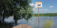 В Новосибирской области с начала купального сезона утонули 12 человек - Gorsite.Ru