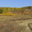 Оренбургская область, фото из архива - Ural56.Ru