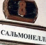 Профилактика сальмонеллеза - Городской округ Верхотурский