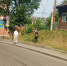 В Центральном районе продолжаются работы по покосу травы - Администрация г. Барнаул