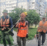 Покос травы в Ленинском районе продолжается - Администрация г. Барнаул