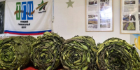 Жители ТиНАО отправили более 150 тонн гуманитарной помощи в зону СВО - M24.Ru