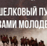 Открыт приём заявок на VIII Международный фотоконкурс «Шелковый путь глазами молодёжи» - Детская библиотека