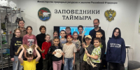 Какая лапа у медведя любимая, норильским школьникам рассказали в «Заповедниках Таймыра» - Северный город