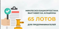 Минлесхоз Башкортостана выставил на аукционы 65 лотов для предпринимателей - Иглинский район