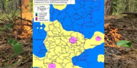 Сводка пожароопасности на 24.06.2026 - Министерство лесного хозяйства