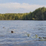 Почти 200 нерестовых гнезд разместили на Горьковском водохранилище - ГТРК Нижний Новгород