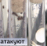 Более 11 тысяч жителей Тюменской области пострадали от укусов клещей - ГТРК Регион-Тюмень
