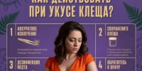 Осторожно: клещи! Что делать при укусе? - Администрация Туймазинского района