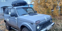 С оренбуржца взыскали еще 140 тысяч за убийство благородного оленя - Yuzh-Ural.Ru