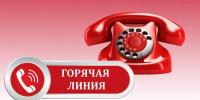 Прокат для любителей пеших прогулок на ГЛК «Хехцир» откроется к осени - Администрация г. Хабаровска