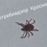 Красраб. Сибирский новостной портал - Газета Красноярский рабочий