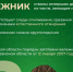 Памятки о сборе валежника. - Нюксенский муниципальный округ