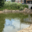 В Обнинске решат проблему со сточными водами - Телерадиокомпания Ника