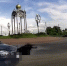 Белгородские автоинспекторы помогли пострадавшему ребёнку - Мир Белогорья