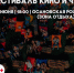 Фестиваль чая и уличного кино пройдет в Осановской роще в Вологде (16+) - Региональное Агентство Новостей