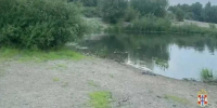 В Омской области за сутки утонули три человека, ещё двое пропали на Иртыше - Om1.Ru
