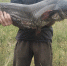 7dkkriwxgzbhe51fwpplmiclvpabhzk5 - Novosti-Saratova.Ru