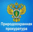 Новгородская межрайонная природоохранная прокурора информирует. - Демянский район