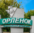 Школьники Хакасии после отмены смен в «Артеке» отправились на отдых в «Орлёнок» - ИА Хакасия