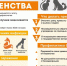Что делать при встрече с лисицами в населенном пункте? - Город Галич