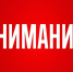 Самовыгул животных опасен и запрещен законом. - Юргамышский муниципальный округ