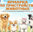 Ярмарка по пристройству животных. - Думиничский район