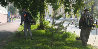 В Барнауле продолжается сезонный покос травы: работы идут во всех районах города - Администрация г. Барнаул