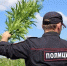 JPG Файл - ОМВД Пограничного района 