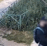 В Коврове задержан граффитист, рекламирующий продажу наркотиков - Владимирские Ведомости