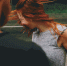 Житель Самарской области избил девушку, когда получил отказ в знакомстве - ProGorodSamara.Ru