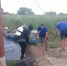 Утонувшему мужчине был 51 год - Gorod48.ru