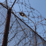 image - GazetaRB.Ru