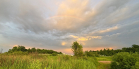 Фото: ПАИ - InformPskov.Ru