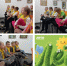 Удивительные птицы - Городская библиотека