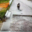 Парень на видео - ИА Nord-News.Ru