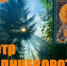 25 июня - Пётр Солнцеворот - Газета Знамя
