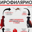 Дирофиляриоз - паразитарное заболевание, передающееся комарами - Газета Черноморские известия