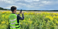 Свыше 1,8 тыс. нарушений целевого землепользования устранили в Подмосковье - Правительство Московской области