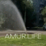 Фонтан забил изпод земли в Благовещенске прямо посреди дороги видео - Amur.Life