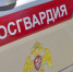 Драку остановили сотрудники Росгвардии в парке Пятигорска - Телеканал СвоёТВ