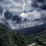 Фото: freepik.com - Sochi.Com