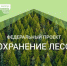 В лесах Пыщугского округа осуществляется противопожарное  обустройство - Департамент лесного хозяйства