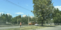 Покос травы в Барнауле - Сетевое издание Толк