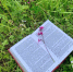 Костромичи обменяются книгами на «Парковом пиКНИГе»: полная программа фестиваля - Интернет-телевидение Логос