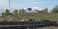 В Улан-Удэ бизнесмены самовольно захватили землю - Газета Номер один