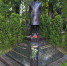 img - ЛДПР