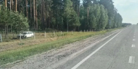 Водитель легковушки разбился насмерть, въехав в дерево на новосибирской трассе - Сетевое издание Толк