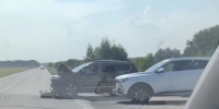 Легковушка врезалась в автобус на трассе в Алтайском крае - Сетевое издание Толк